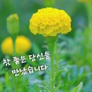 이미지..[[04]] 이미지