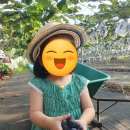 방산농장 이미지