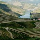 와인과 세계문화 이미지