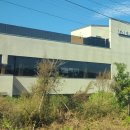 태리 | 천안 대형카페 애견동반카페 태리온 후기