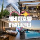 호텔제스 | [세비야 호텔] 호텔 히랄다센터ㅣ세비야 숙소 추천...스페인광장 인근, 루프탑 수영장, 조식 솔직후기