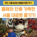 서울대공원 | 날씨마저 럭키했던 &#39;과천 서울대공원 동물원&#39; 방문후기🍂