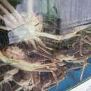 천상대게예산점