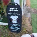 인천대공원역 | 호동일기 9 | 25.12.15 인천대공원역 애견동반카페 식물원카페 - 빌리 -