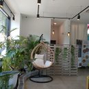 컴포어거두점 이미지