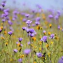 기초필수 일본어 단어 암기 이미지