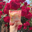 CU파동아이파크점 | CU 편의점 디저트 신상 보름달 피치피치문 구매(가격, 파는 곳)