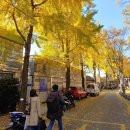 서순라길 이미지