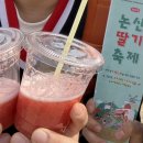 논산계룡축산업협동조합 장군마트중부점 | 논산딸기축제 주말 후기🍓(축제 이용 팁!)