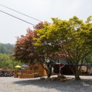 모토모토팬션 이미지