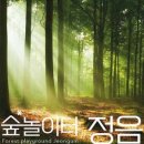 숲놀이터정음