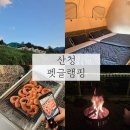 나음펫 | 🏠 경남 산청 펫글램핑(애견동반, 패밀리룸, 강아지놀이터, 매점, 바베큐 후기 포함)