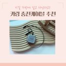 댕글 | 댕글 릴타입 케이블 가방꾸미기 키링케이블 솔직후기