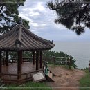 대항새바지 이미지