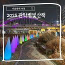 별빛속삭임 | 겨울축제 추천 2025 관악별빛산책 방문후기 위치
