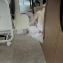 다옴헤어 이미지