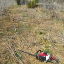 청등농장 이미지