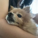 비젼타워빌딩 | 짧 일상