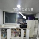 [수원/영통] 40평대 4인가족 전체정리