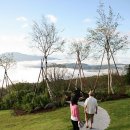 구름위산책 이미지