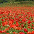 모가면사무소 이미지