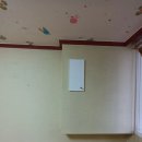소만마을 1개월 보관 포장이사 후기 비용 및 주의사항 / 인테리어 / 냉장고 물품 냉장보관 / 식물...