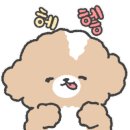 펫 드라이브 2 이미지