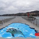 오류4리 이미지