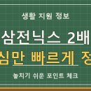 삼전닉스 2배 ETF 교육, 신청·조회 전 놓치면 후회할 3가지 이미지