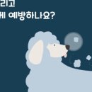 행복한우리아이 동물병원 이미지