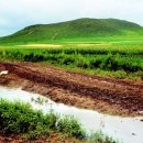 발해를꿈꾸며 이미지