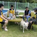 종합동물약품 이미지