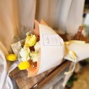 달플로르 이미지