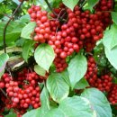 산포마을 이미지