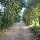 한양농원 이미지