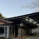 숲을 그리다 이미지