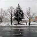 죽도초등학교 이미지