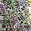 봉재산화장실 이미지