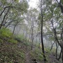 백화산약수터 | ●문경 조령산(76/100대) 안개 속 등산 후기(백두대간 이화령코스)