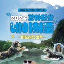 강아지 숲 이미지