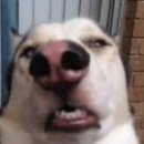 현대건강원 이미지