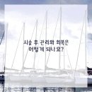 영통단단마디의원 이미지