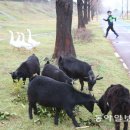 수영강 관리사무소 이미지