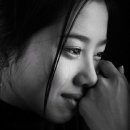 나무와 새 이미지