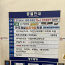 덕천빌딩 | 부산레푸스덕천점 발바닥각질 관리 후기