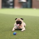 석성로301번길 이미지