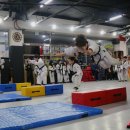 용인대 석사 합기도 & 휘트니스 이미지