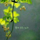 삶은 신선해야 한다, 안산일보에 시 가로등 (박숙자) 게재 이미지