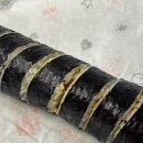 서영대학교 앞 이미지