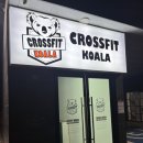 여자 내향인의 크로스핏 1회 체험 후기